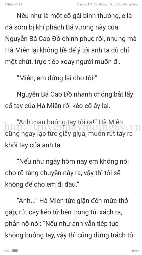 thần y ở rể