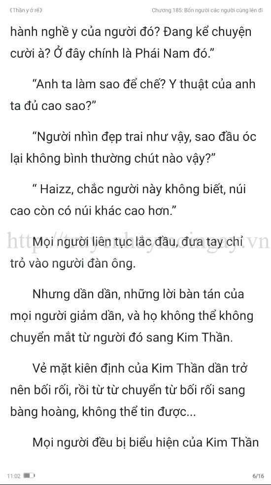 thần y ở rể