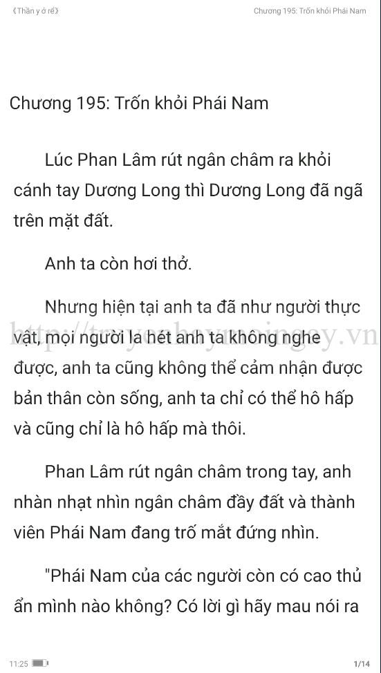 thần y ở rể