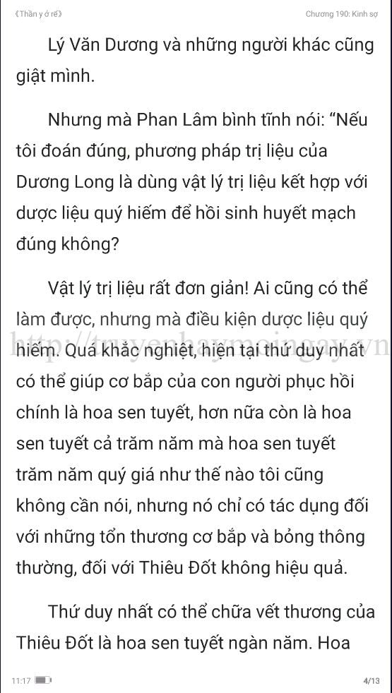 thần y ở rể