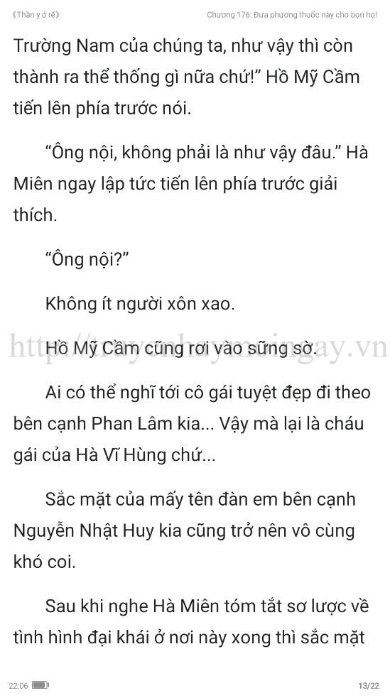 thần y ở rể