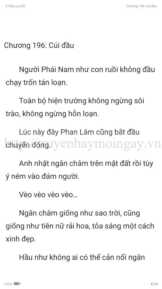 thần y ở rể