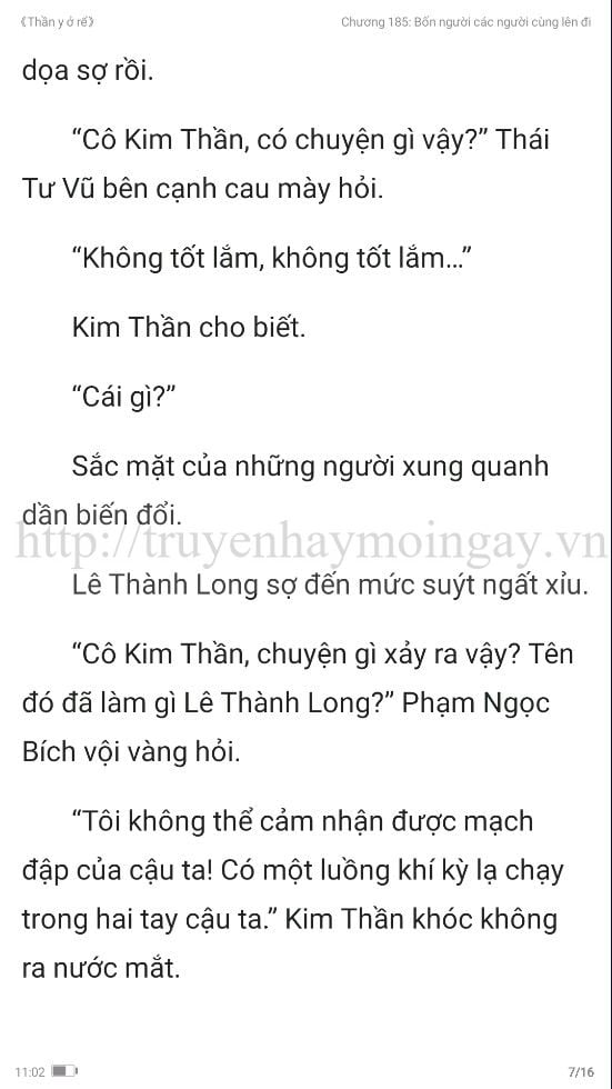 thần y ở rể