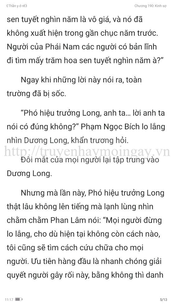 thần y ở rể