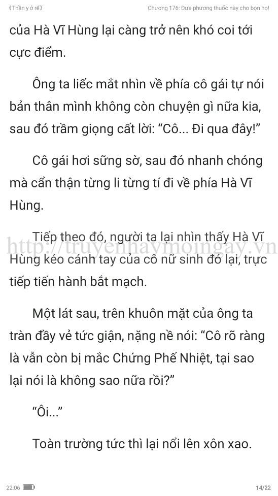 thần y ở rể