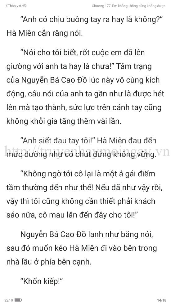 thần y ở rể