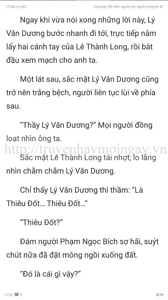 thần y ở rể