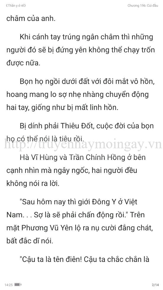 thần y ở rể