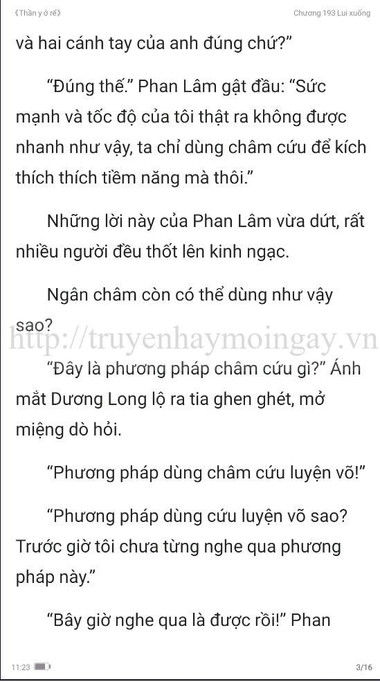 thần y ở rể