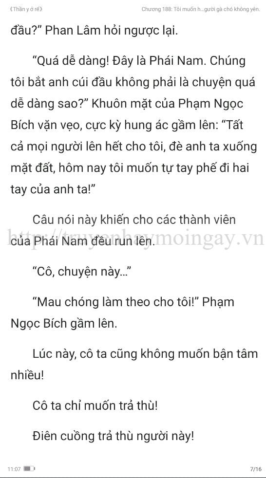 thần y ở rể