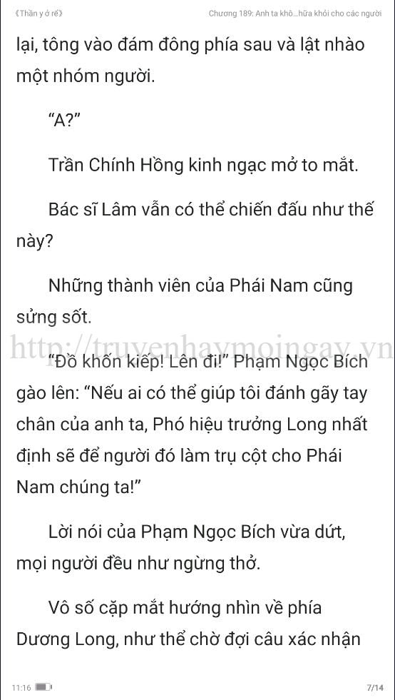 thần y ở rể