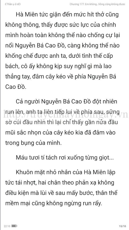 thần y ở rể