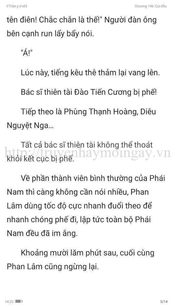 thần y ở rể