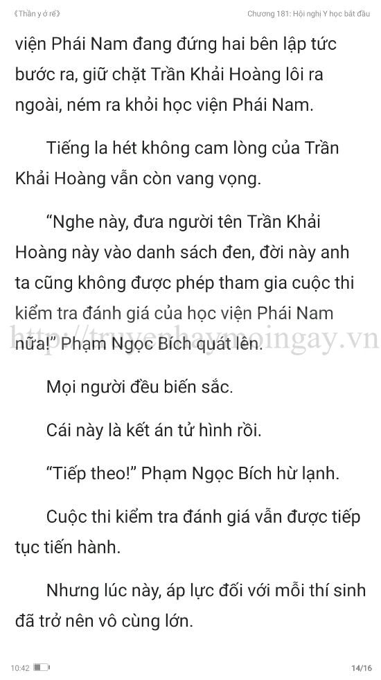 thần y ở rể