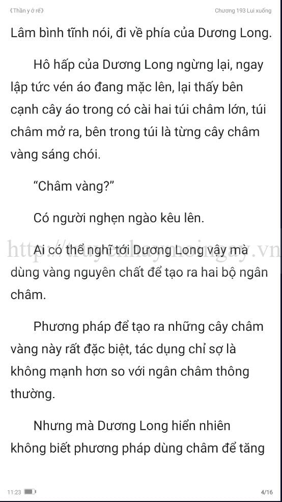 thần y ở rể