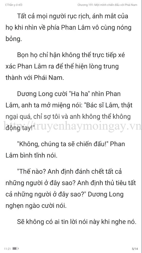 thần y ở rể