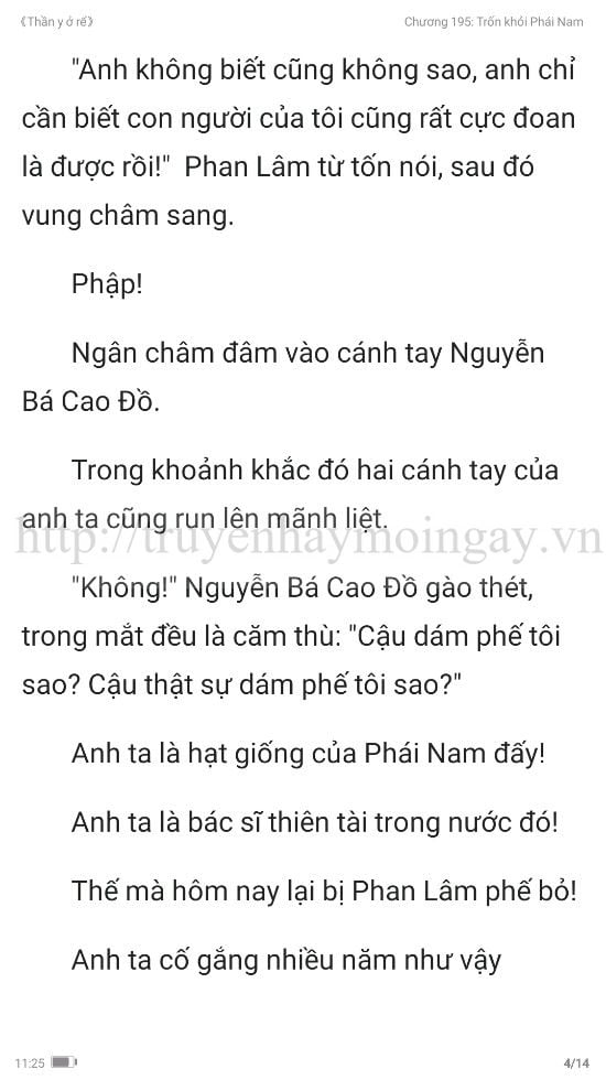 thần y ở rể