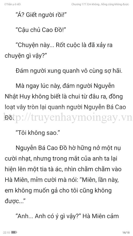 thần y ở rể