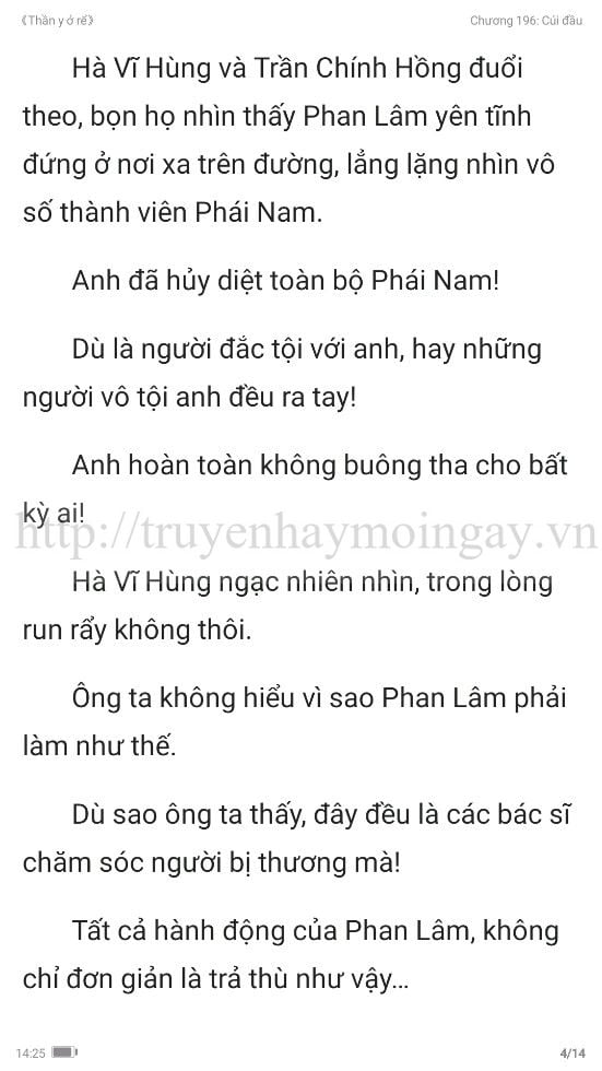 thần y ở rể