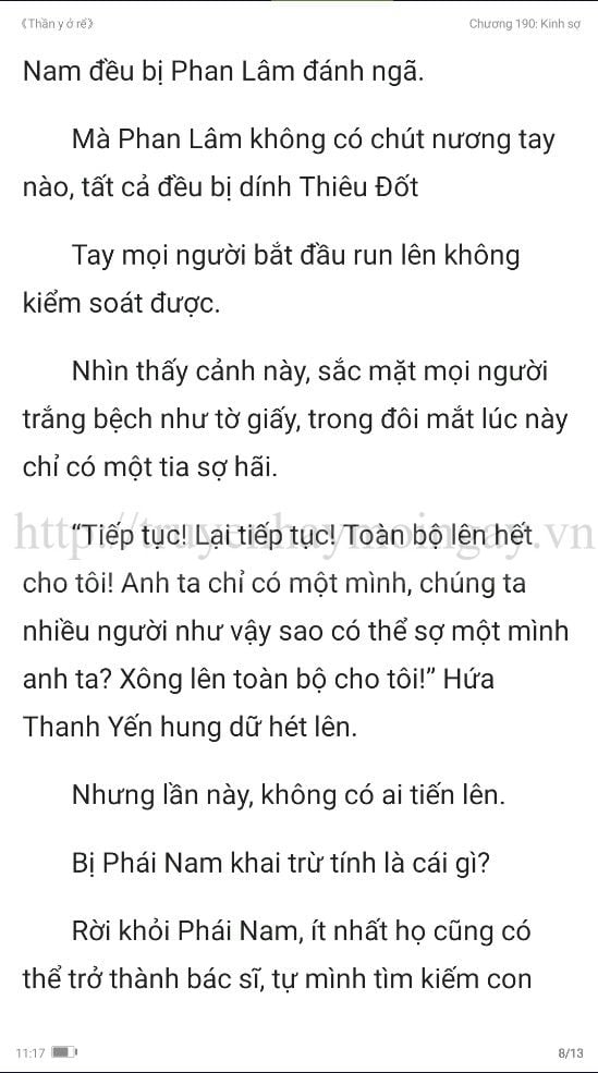 thần y ở rể