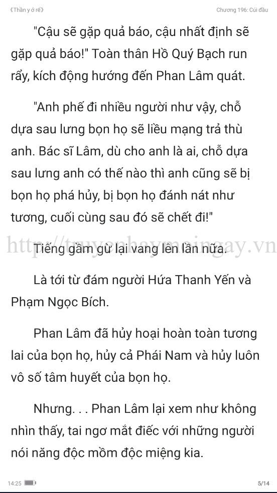 thần y ở rể