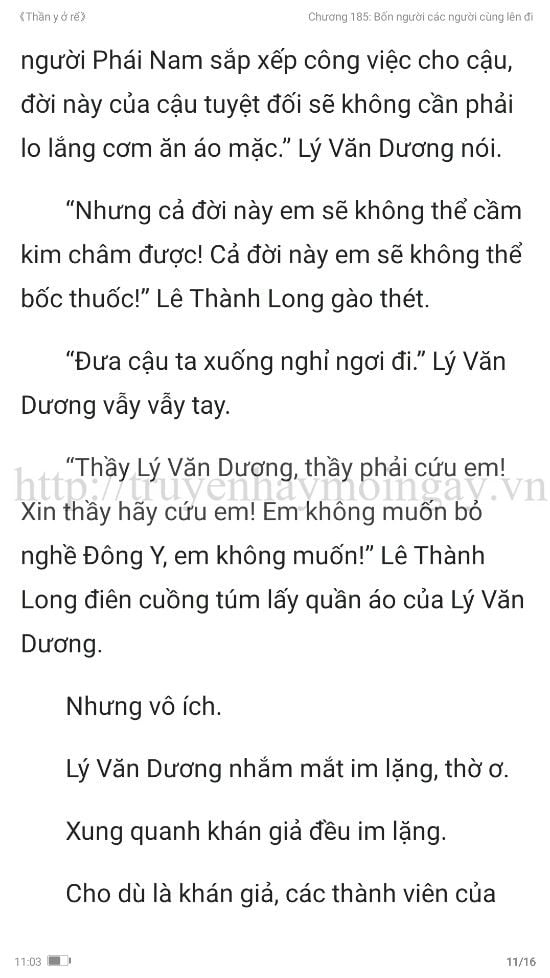 thần y ở rể