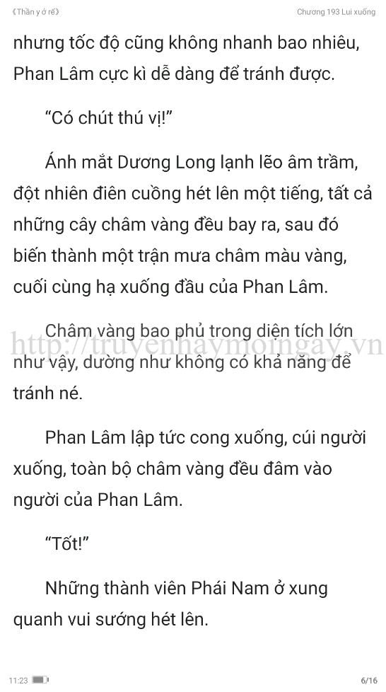 thần y ở rể