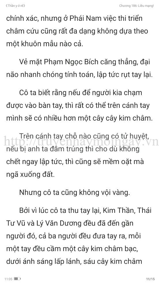 thần y ở rể