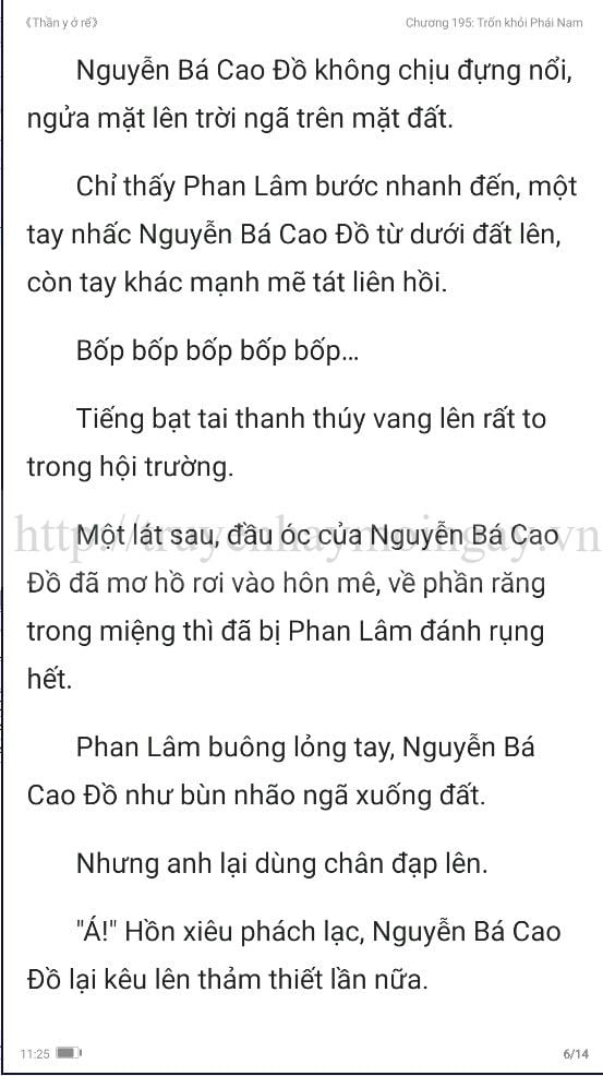 thần y ở rể