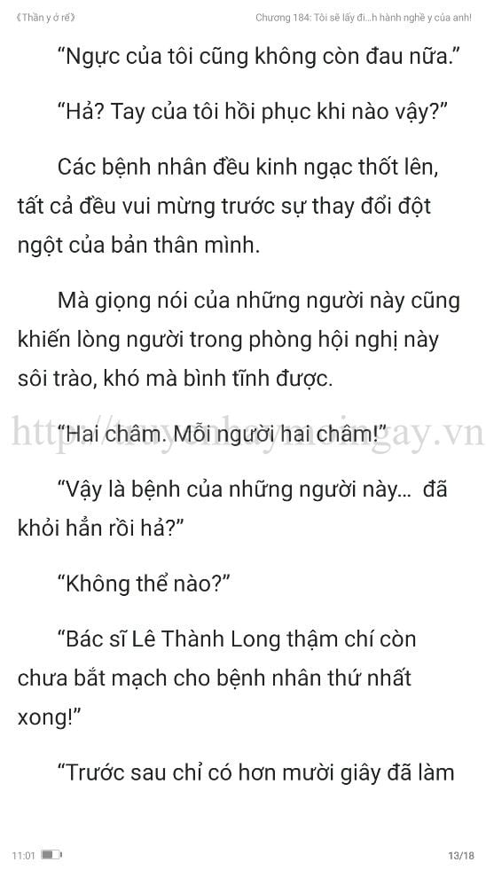 thần y ở rể