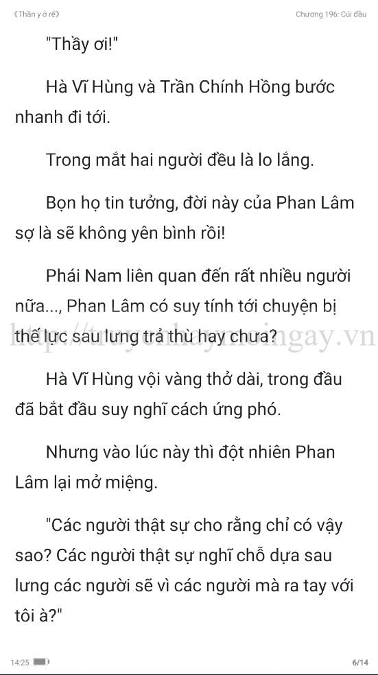 thần y ở rể