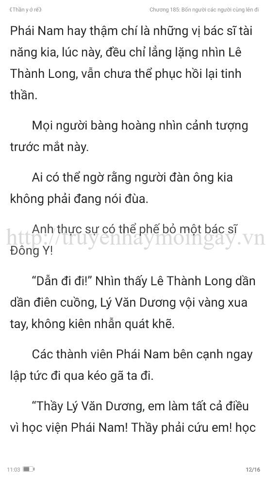 thần y ở rể