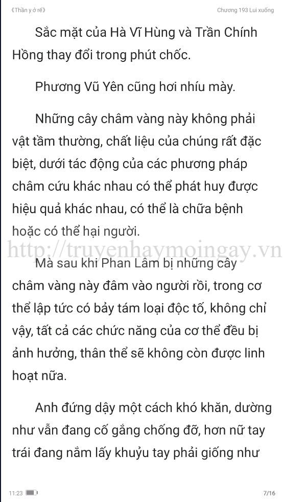 thần y ở rể