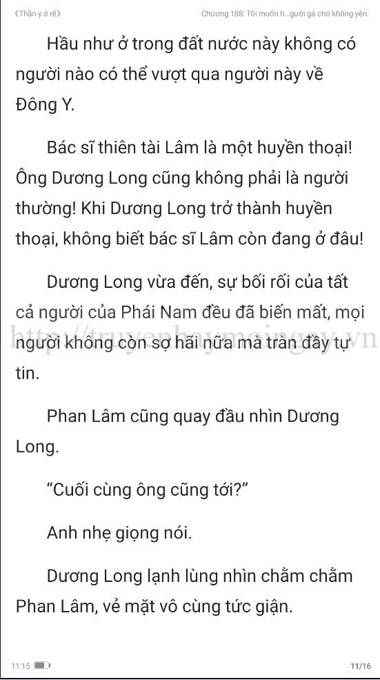 thần y ở rể