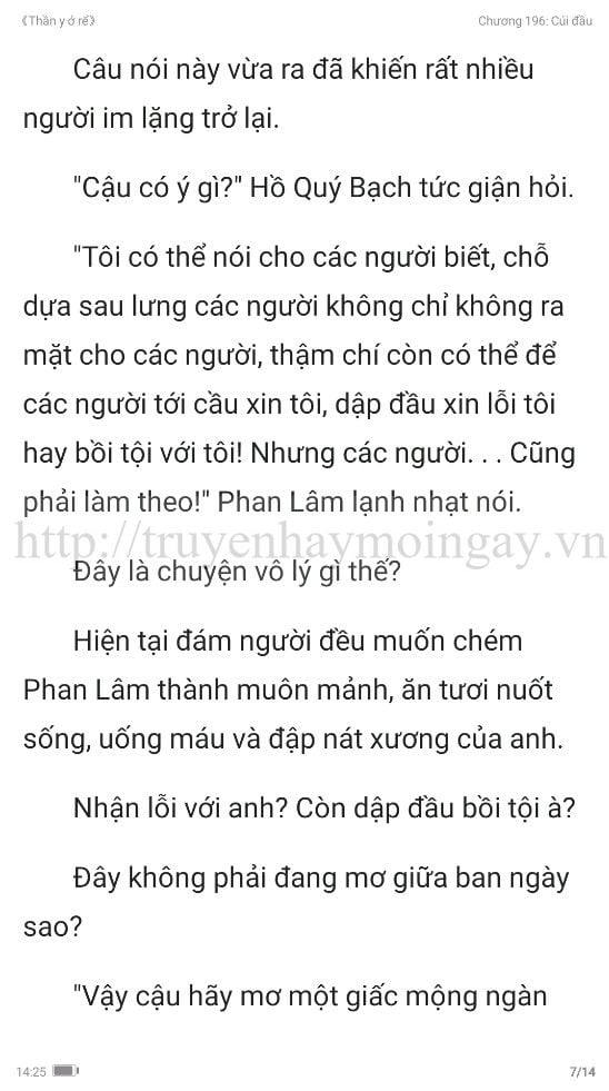 thần y ở rể