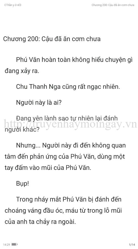 thần y ở rể