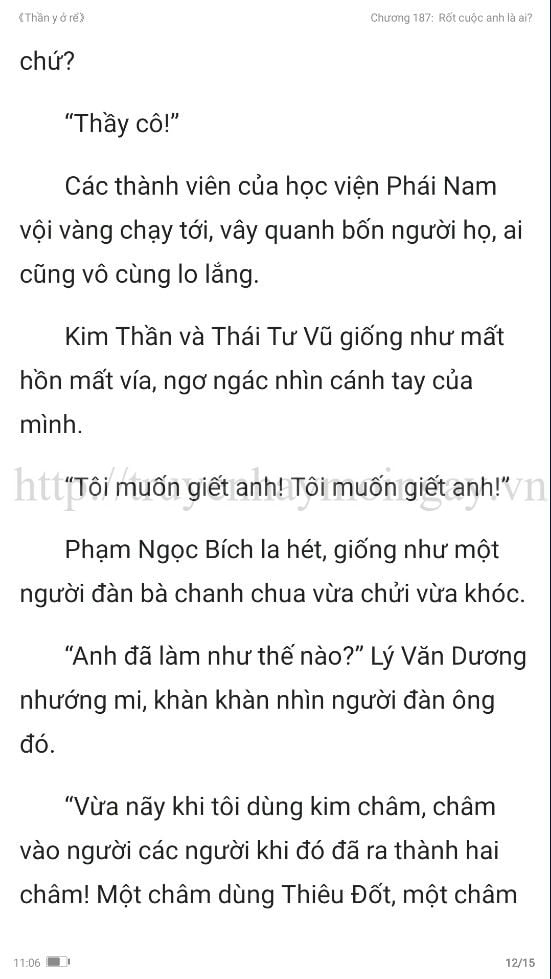 thần y ở rể