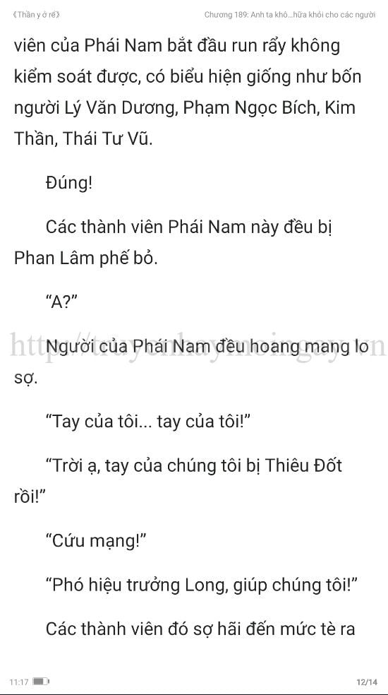 thần y ở rể