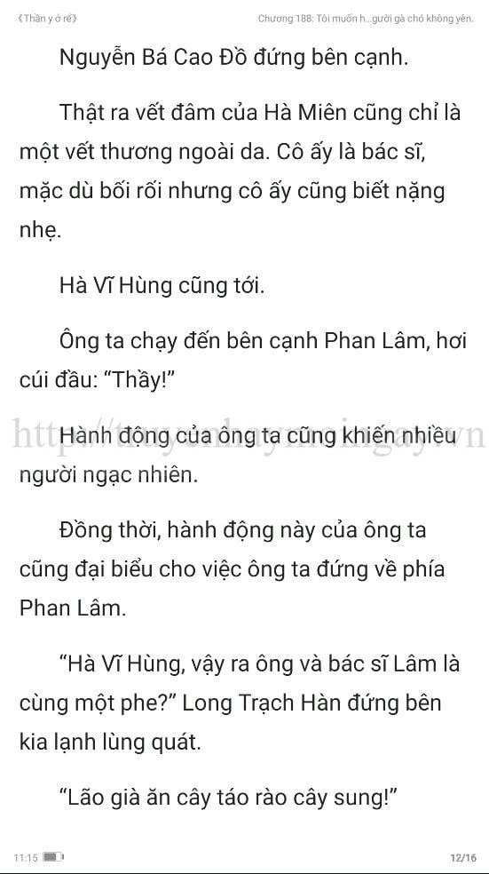 thần y ở rể