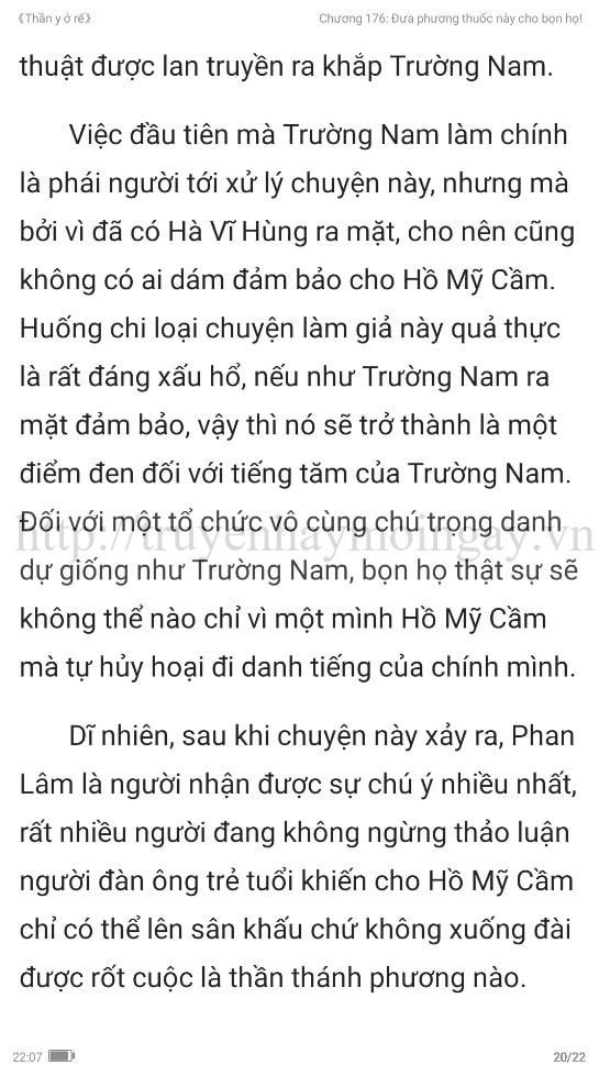 thần y ở rể