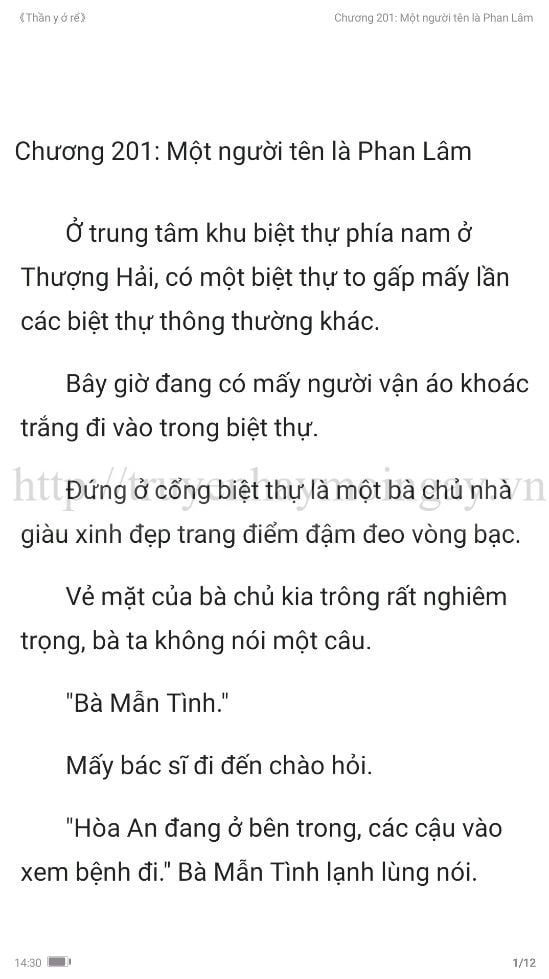 thần y ở rể