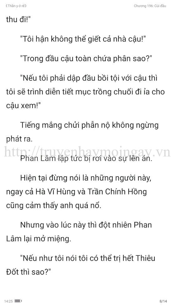 thần y ở rể