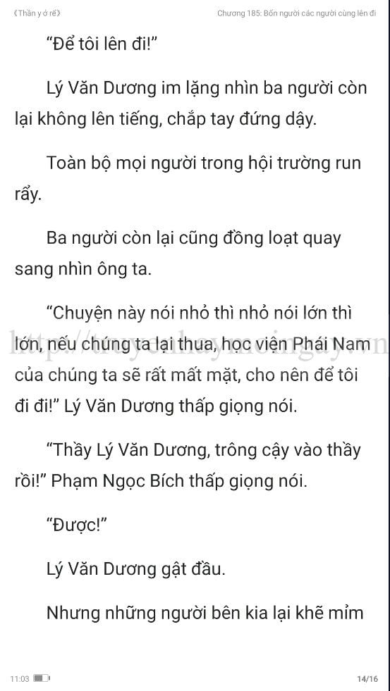 thần y ở rể