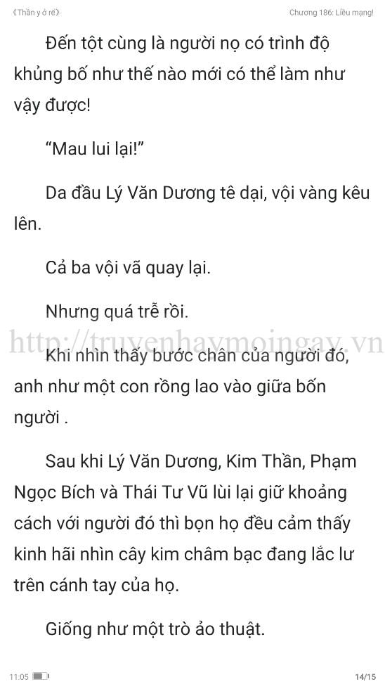 thần y ở rể