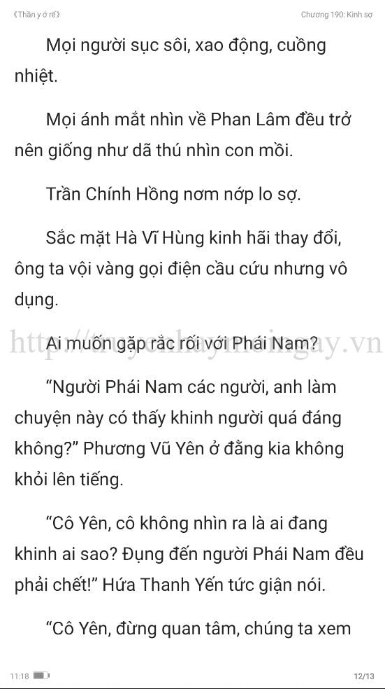 thần y ở rể