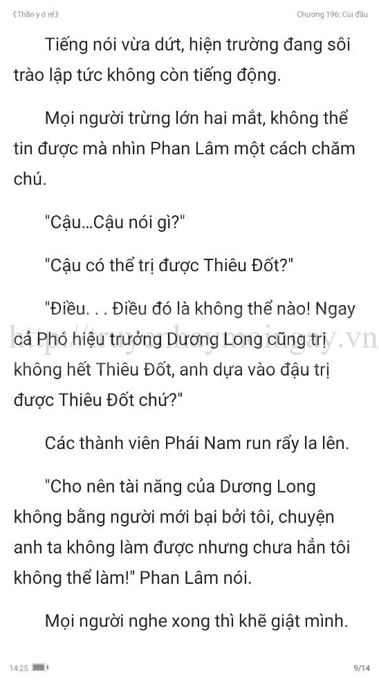 thần y ở rể