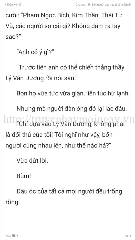 thần y ở rể