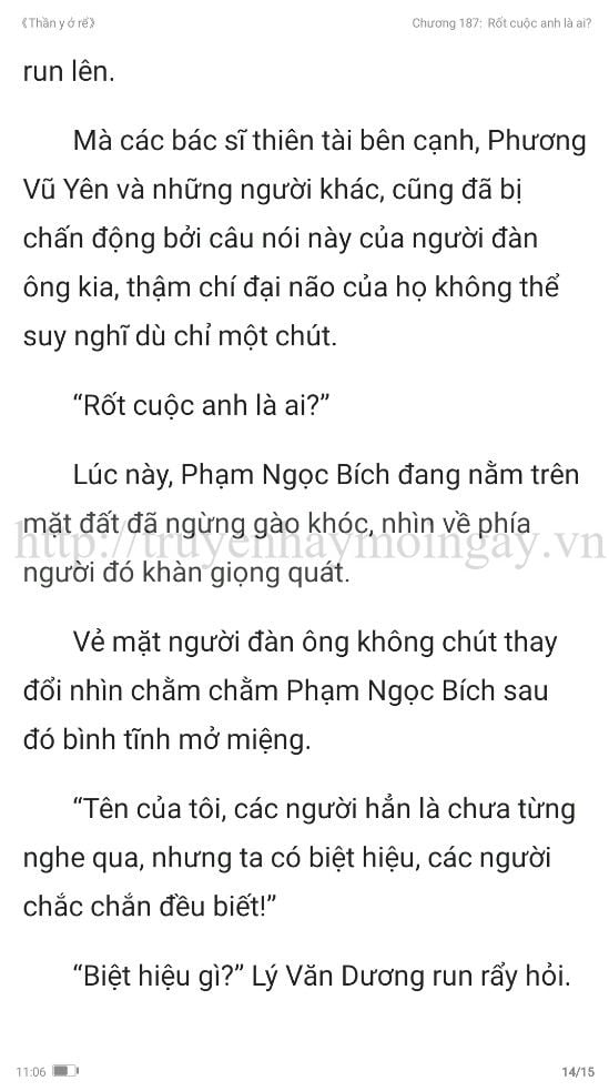 thần y ở rể