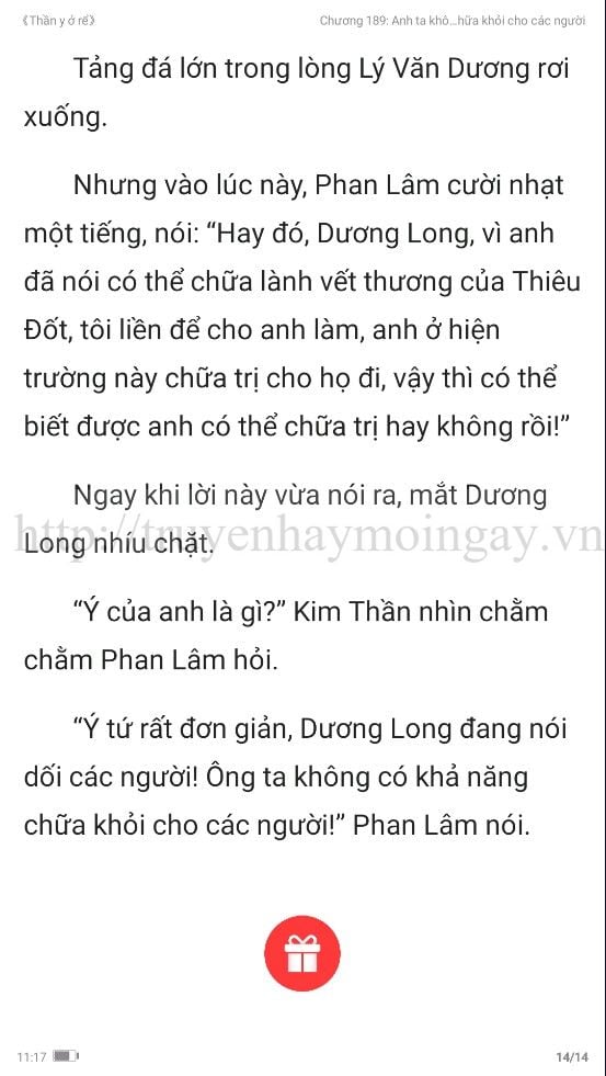 thần y ở rể