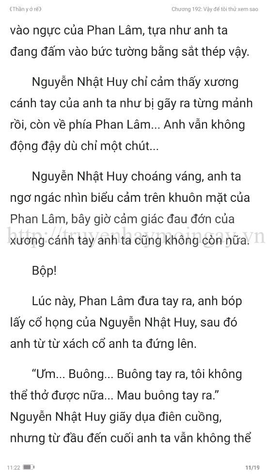 thần y ở rể